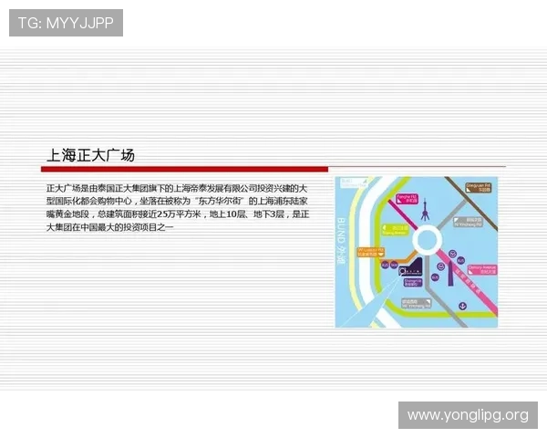 正大国际投资有限公司：企业简介与发展战略分析